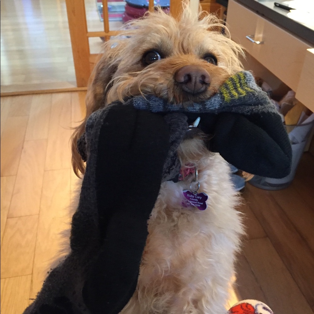 Meet your Posher, Rachel